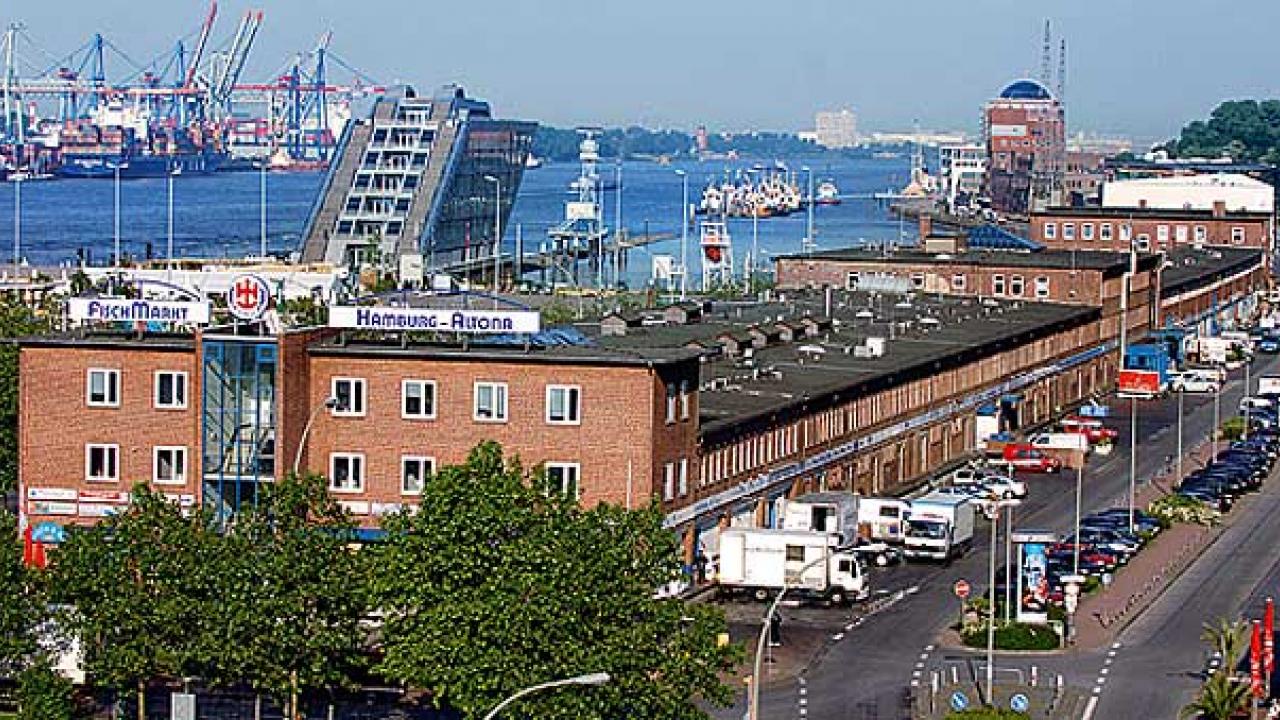 Hamburg Fish Market